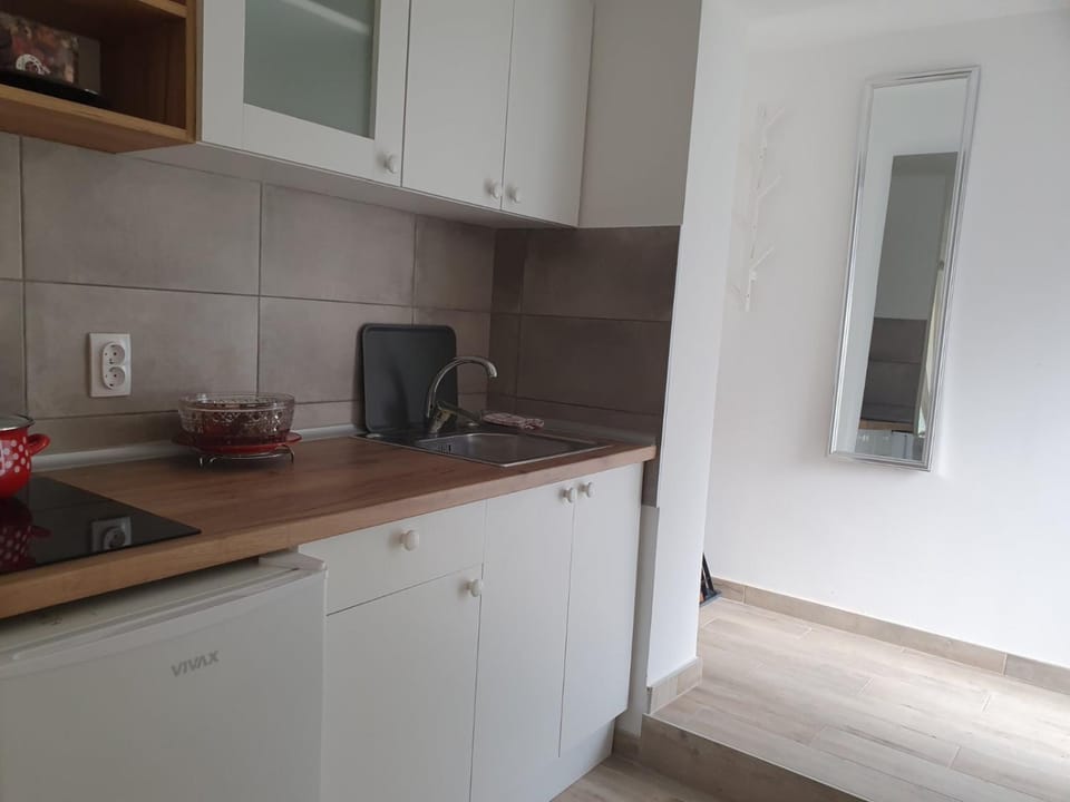 Vila Lela Apartment in Serbia