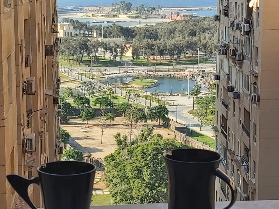 Garden, Balcony/Terrace