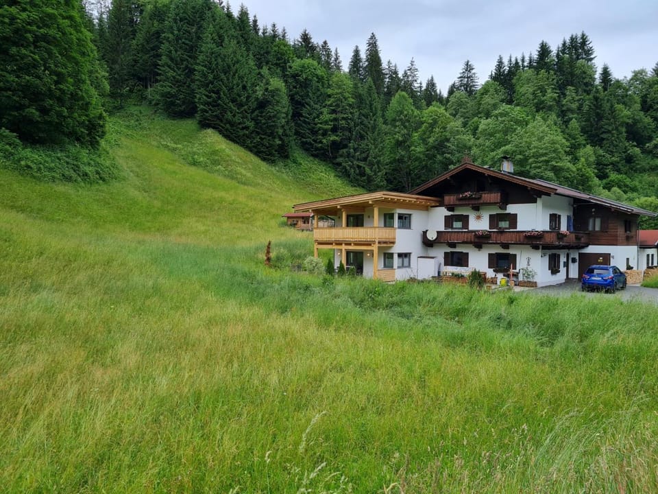 Property building, Summer