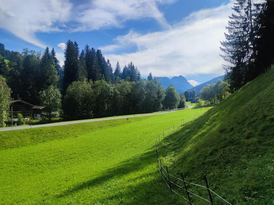 Summer, View (from property/room)