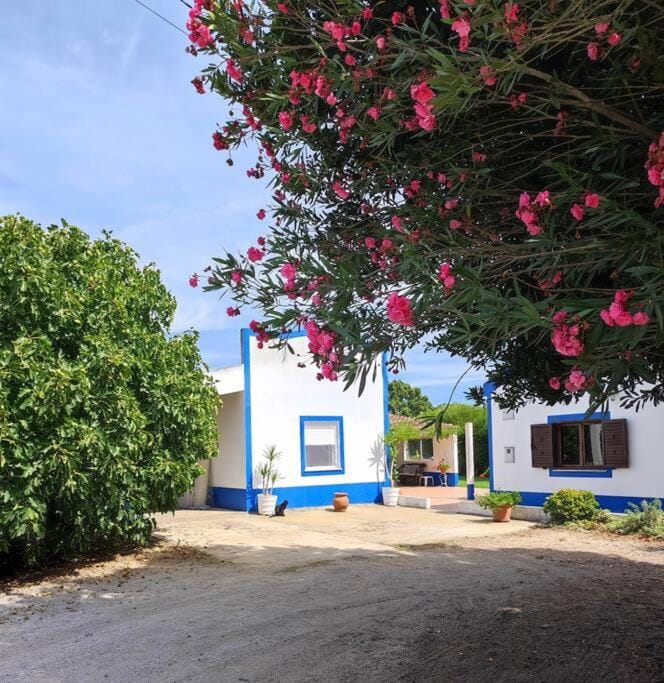 Monte da Figueira House in Setubal District