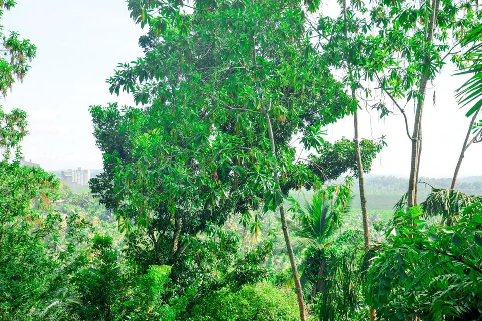Natural landscape