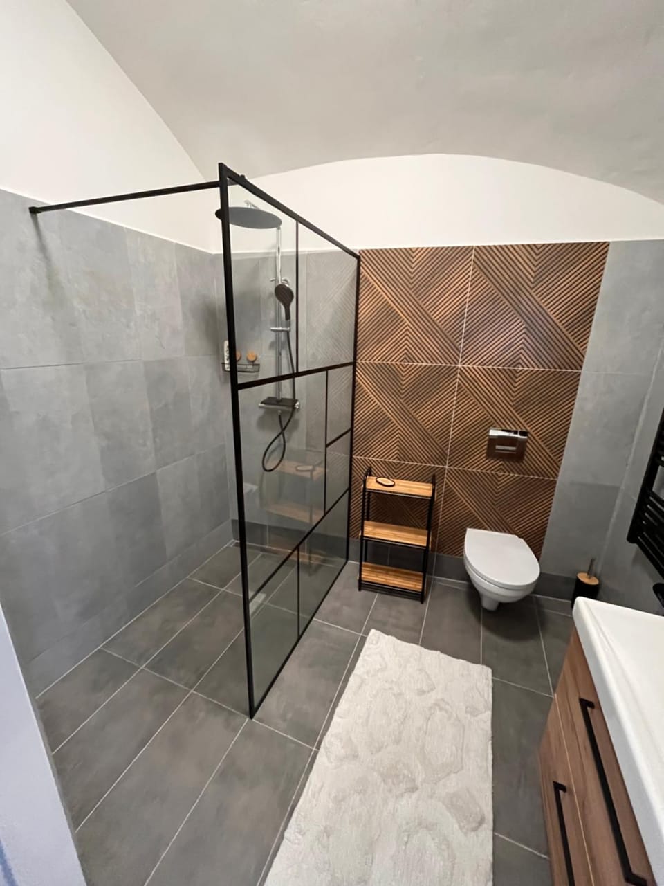 Shower, Toilet, Bathroom, towels