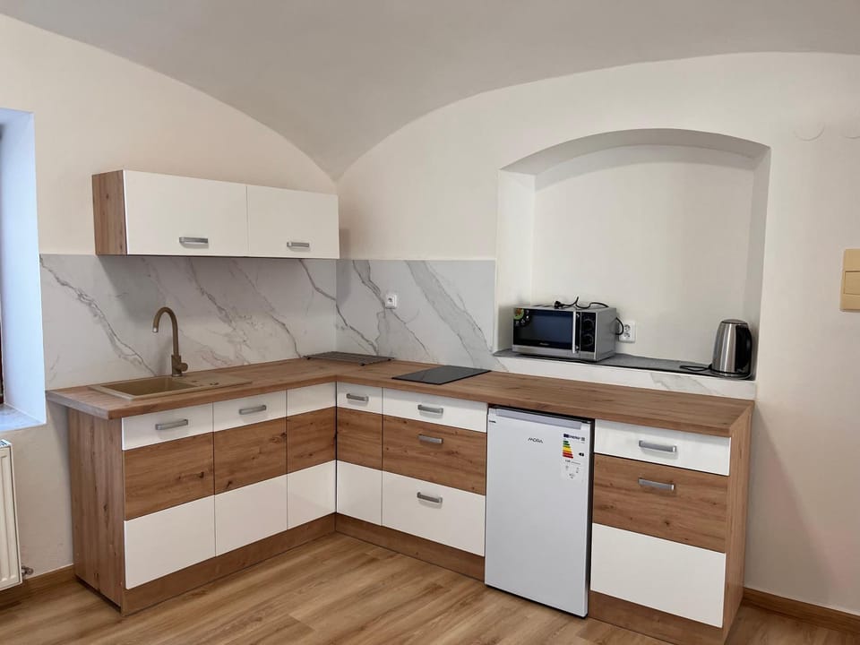 Coffee/tea facilities, Kitchen or kitchenette, minibar, stove, kitchen