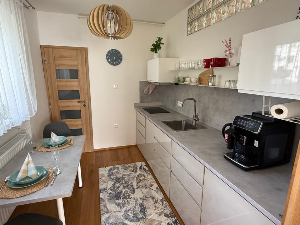 Kitchen or kitchenette, dishwasher, stove, toaster