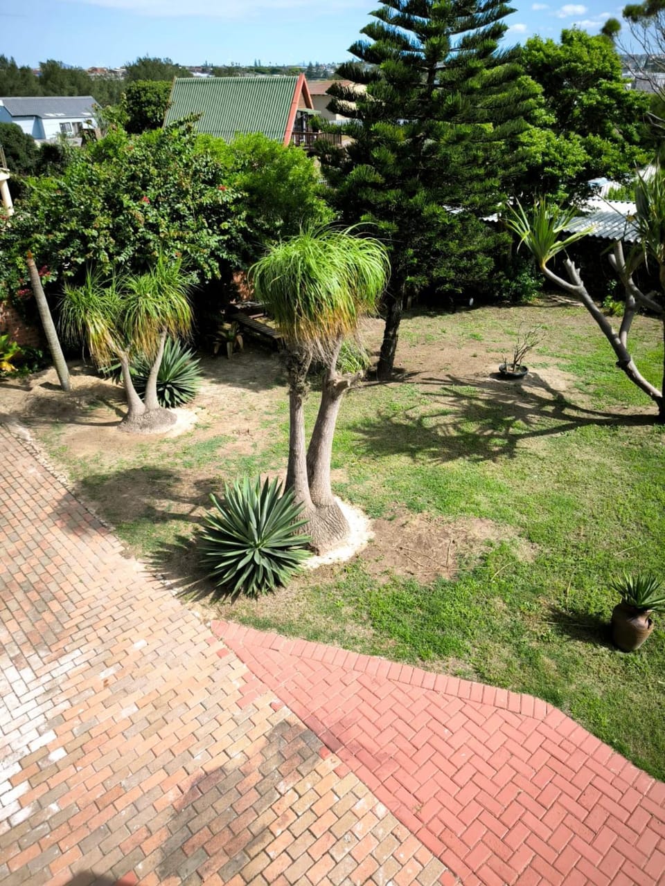 Spring, Day, Natural landscape, Garden, Garden view