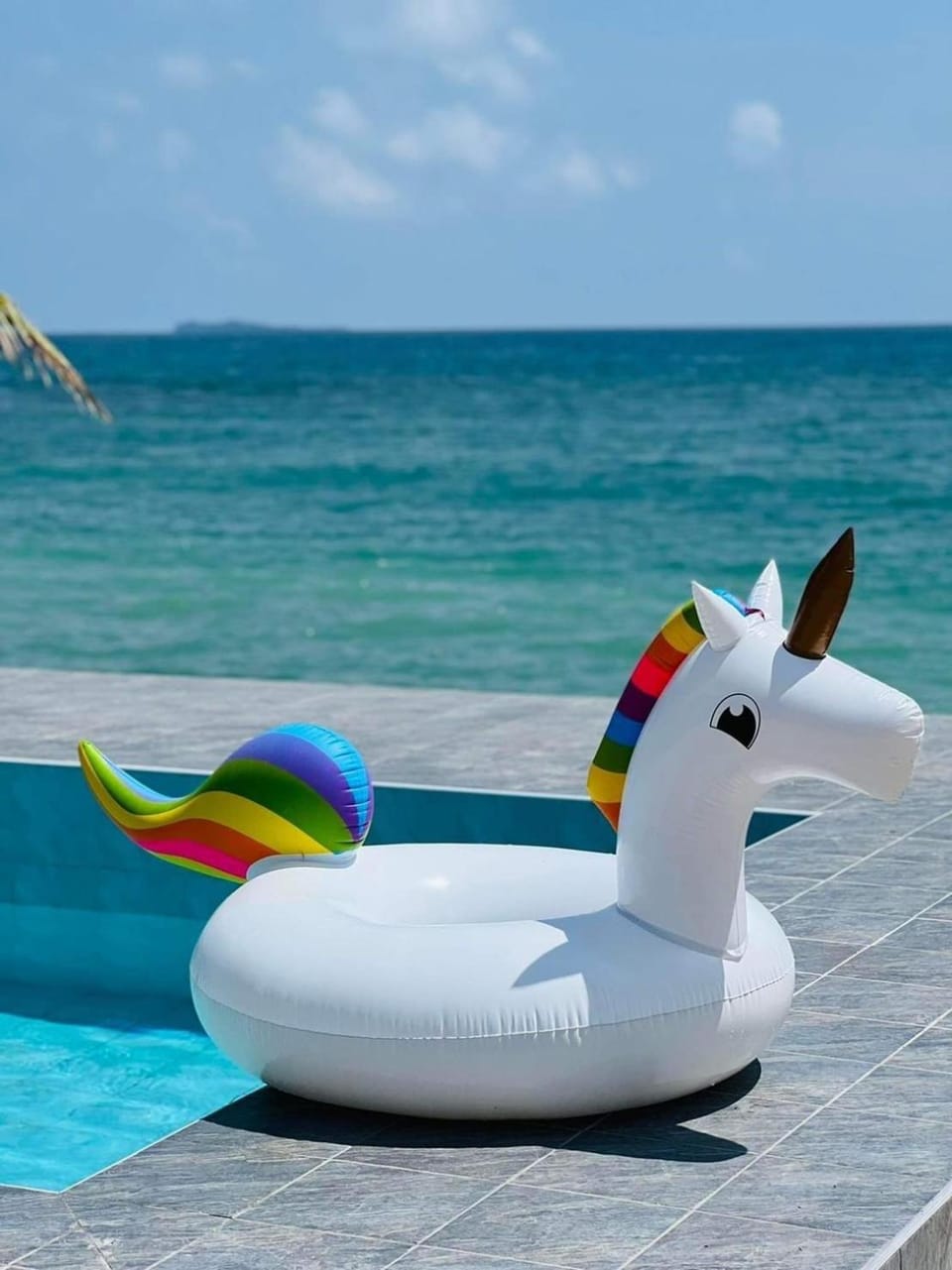 Day, Natural landscape, Beach, Pool view, Sea view, Swimming pool, sunbed