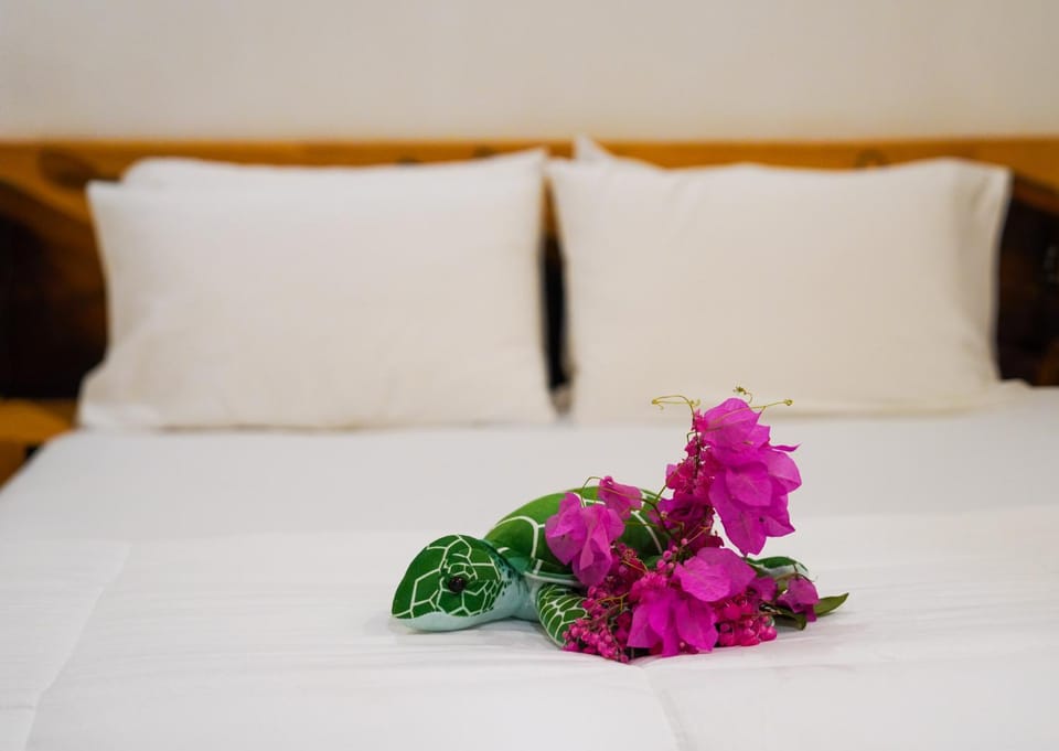 Sun & Surf Bed and Breakfast in Maldives
