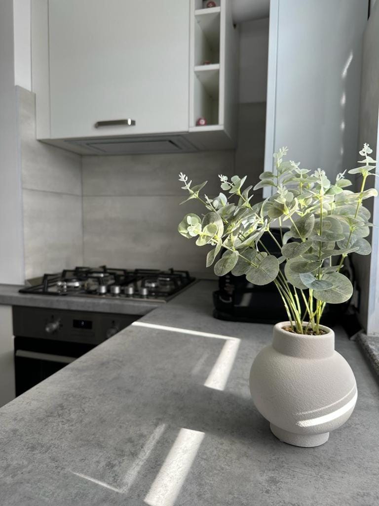 Kitchen or kitchenette, stove
