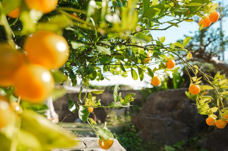 Luana House in Okinawa Prefecture