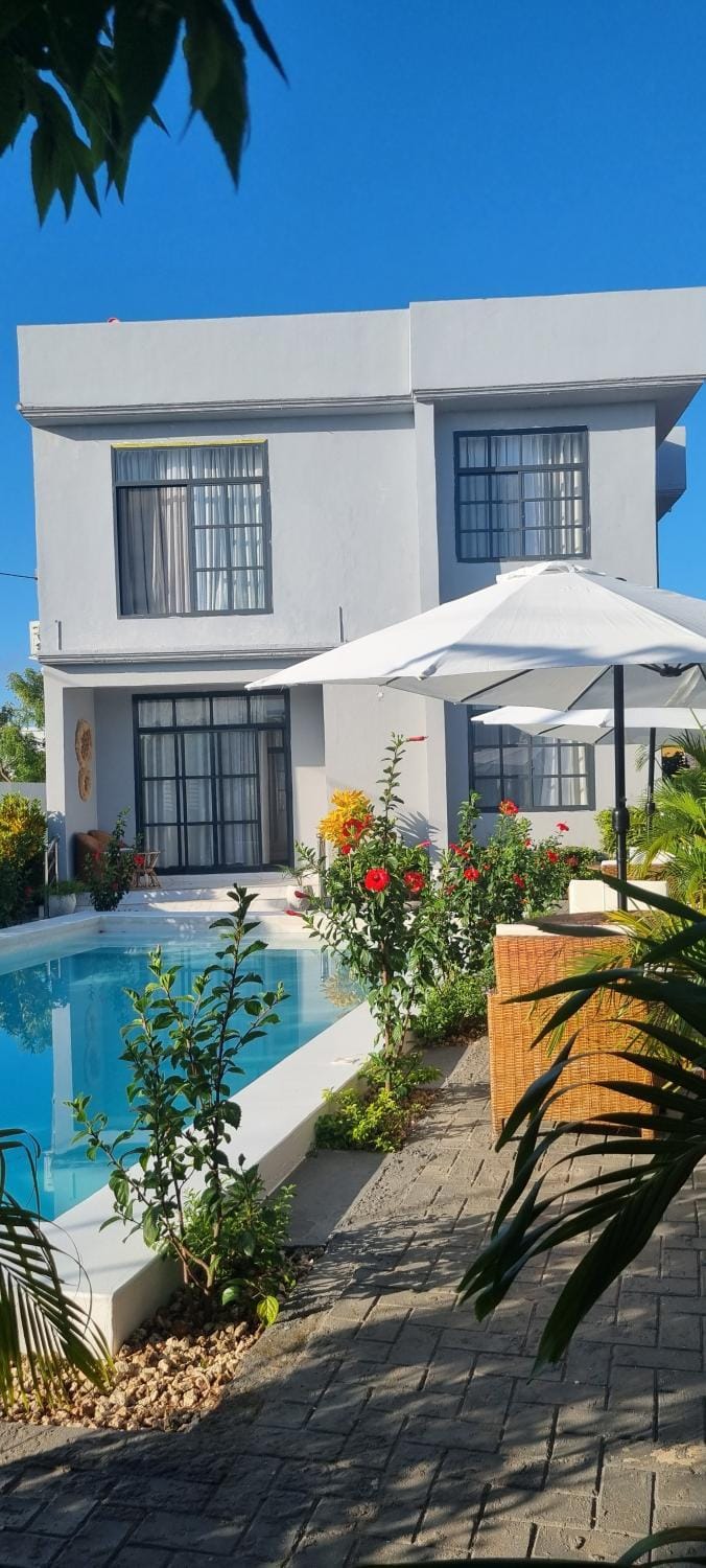 Swimming pool, Swimming pool