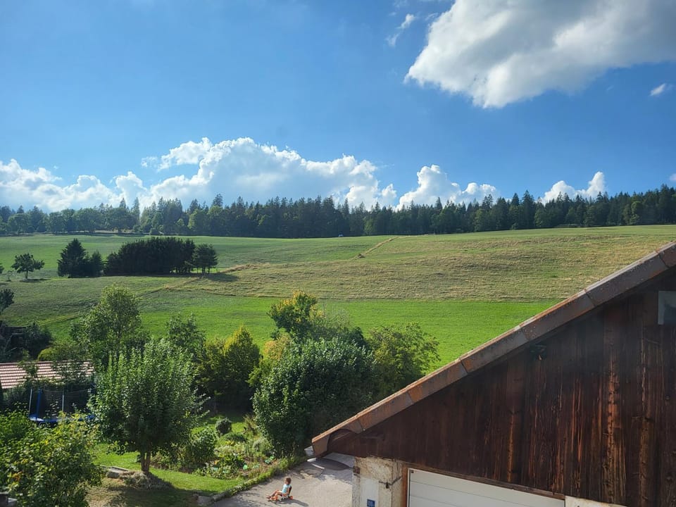 Hôtel-Restaurant Le Cochon Rose Hotel in Neuchâtel, Switzerland