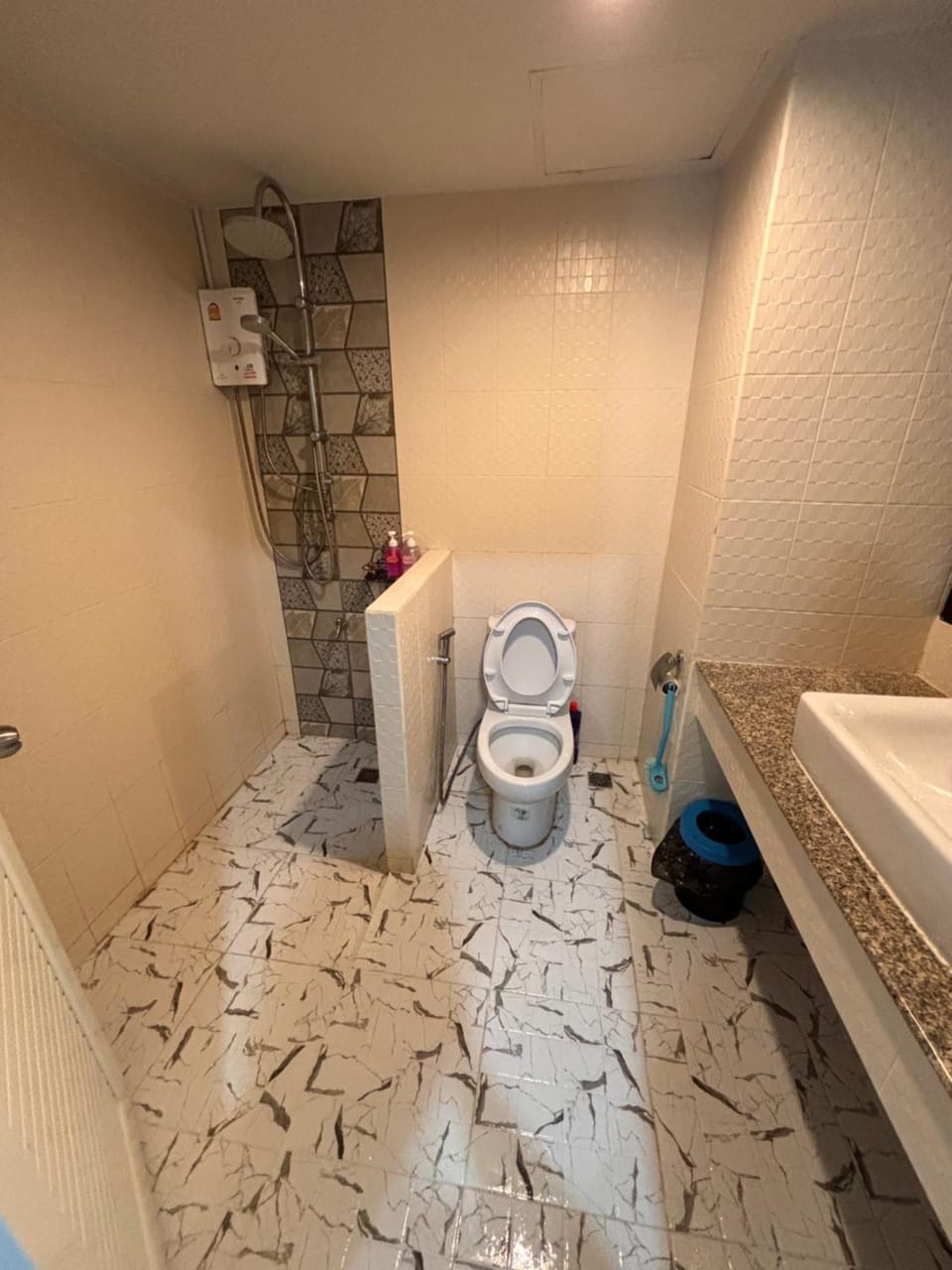 Shower, Toilet, Bathroom
