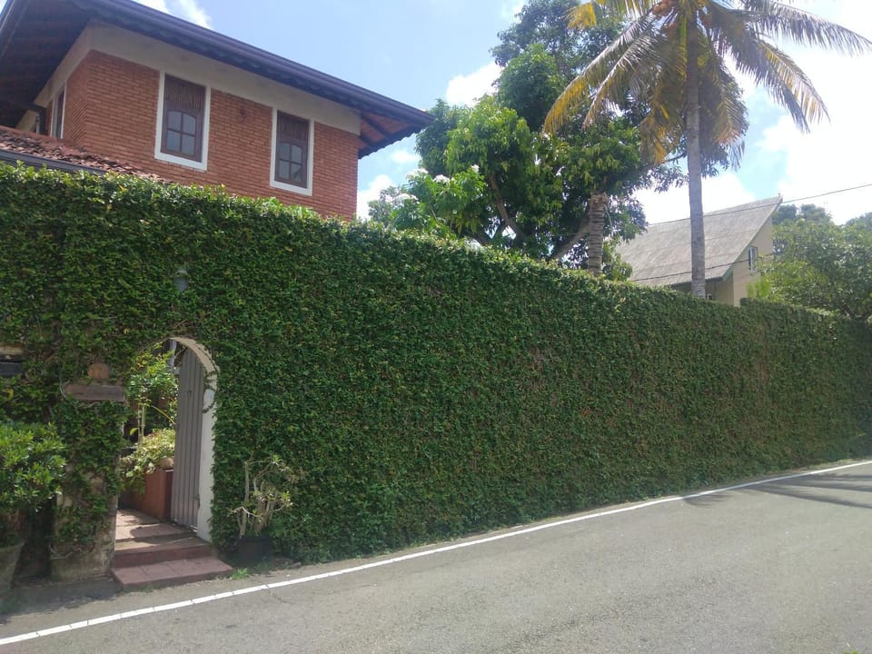 Roche's Cozy Corner R-2 Ground Level Vacation rental in Western Province