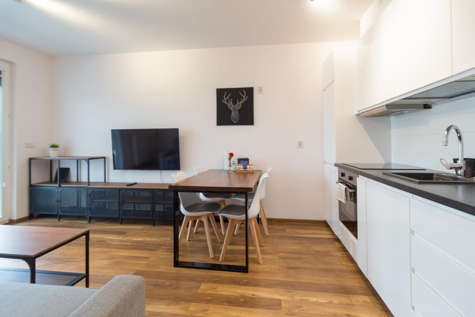 TV and multimedia, Kitchen or kitchenette, Living room, Seating area, Dining area, pet friendly, stove