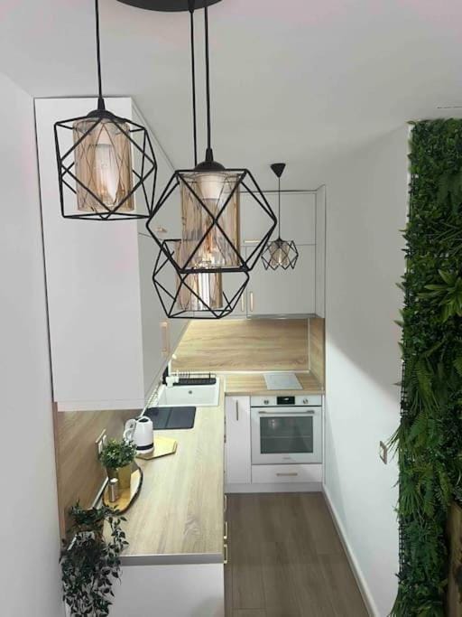 Kitchen or kitchenette, minibar, pet friendly, stove, washing machine