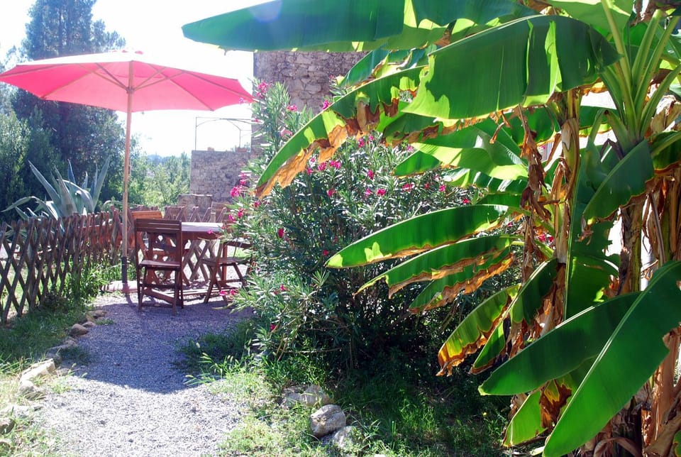 Spring, Day, Garden, Garden view, pet friendly