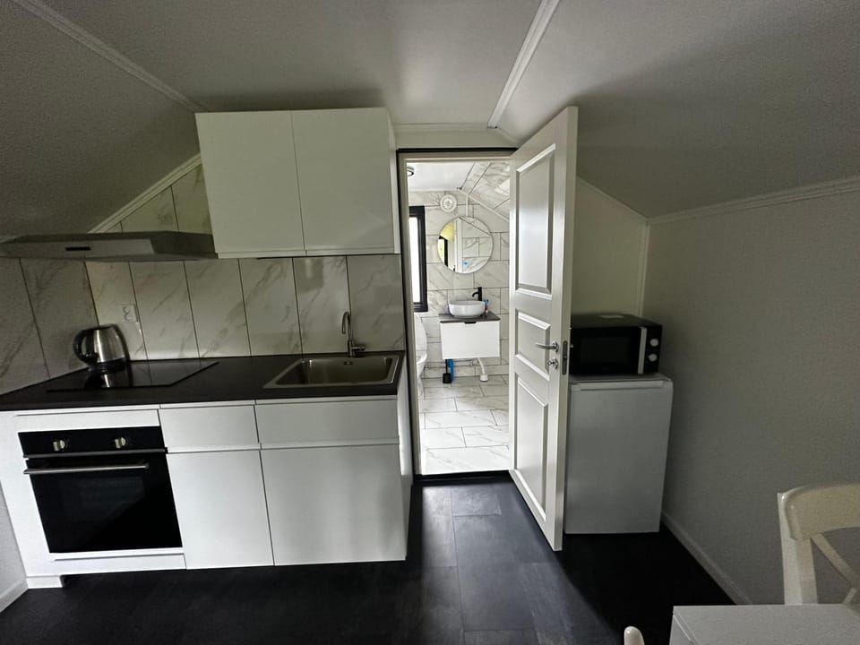 Kitchen or kitchenette, minibar, pet friendly