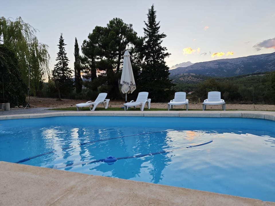 Swimming pool, sunbed