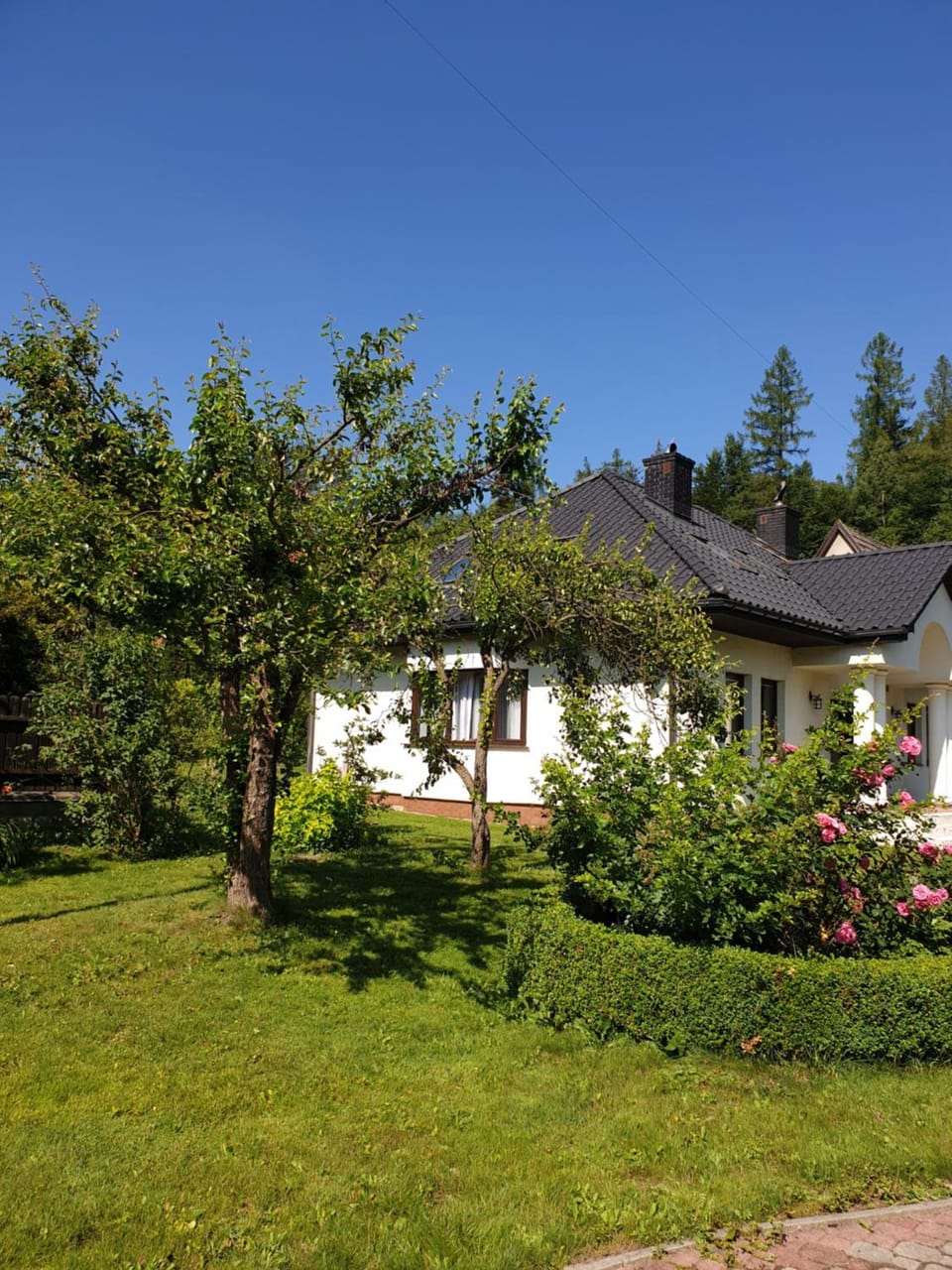 Property building, Spring, Garden, Garden view