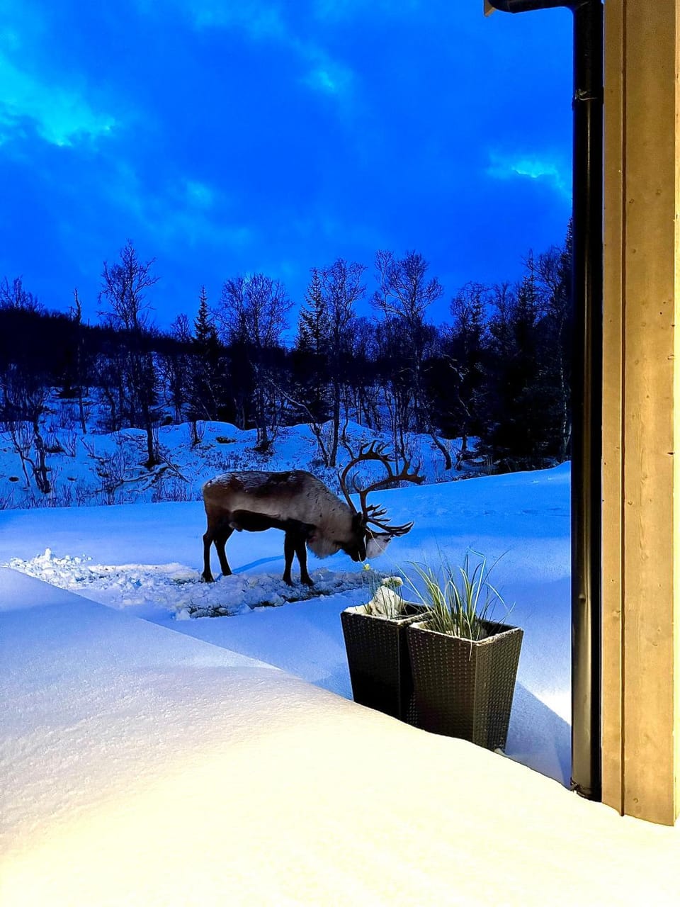 Arctic Villa Villa in Troms Og Finnmark