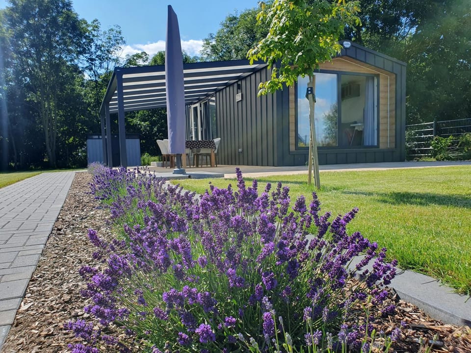 Ferienhaus am Concordiasee House in Saxony-Anhalt, Germany