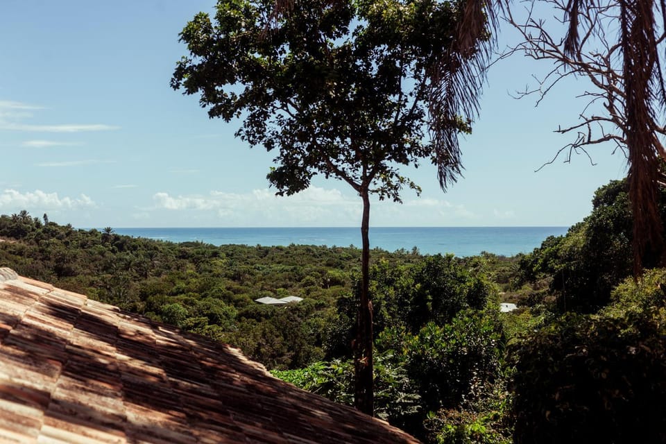 View (from property/room)