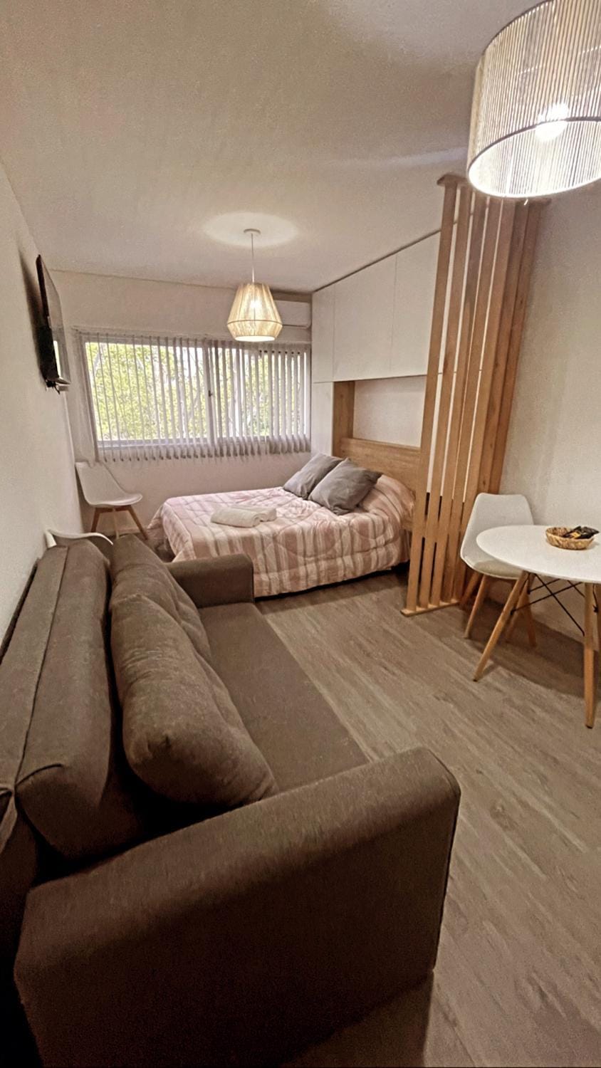 Monoambiente centro Mendoza Apartment in Mendoza