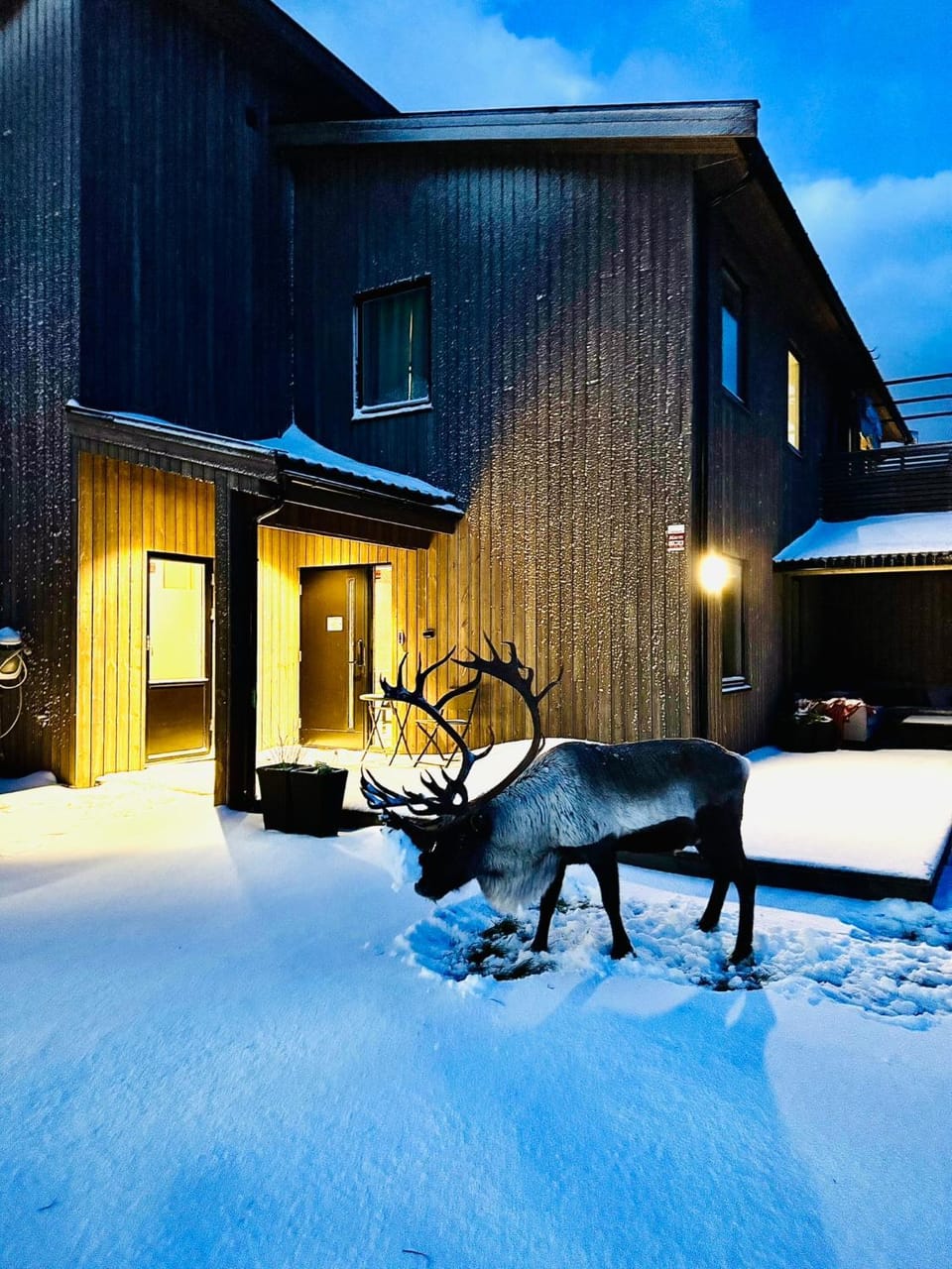 Villa Arctic Villa in Troms Og Finnmark