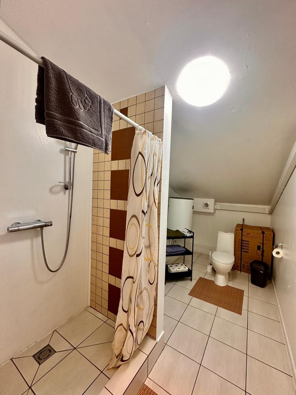 Shower, Toilet, Bathroom, towels