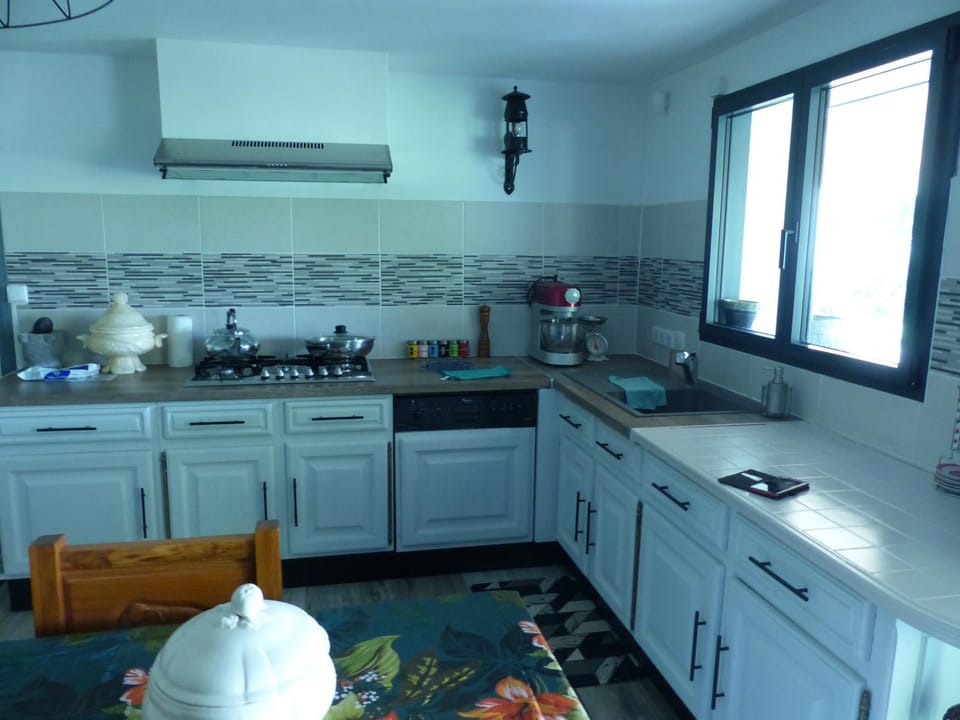Kitchen or kitchenette, dishwasher, oven