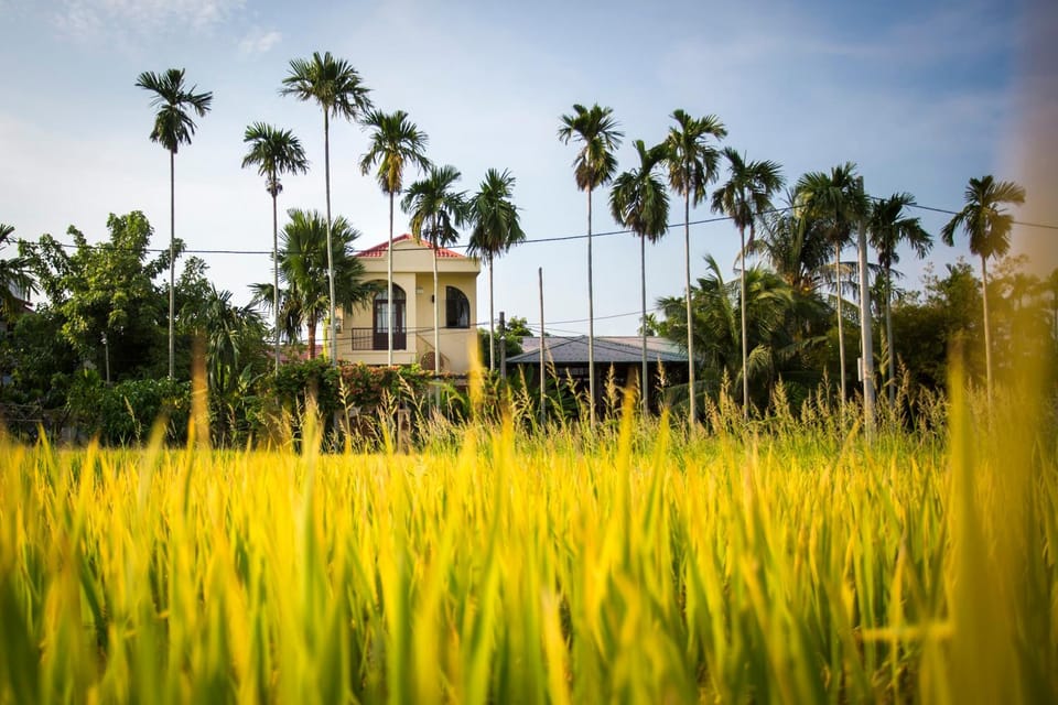 Property building, Natural landscape