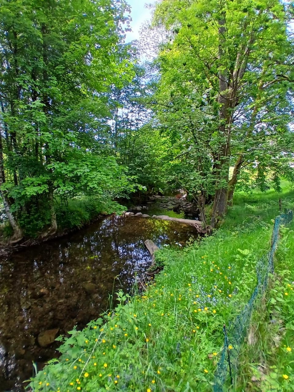 Day, River view