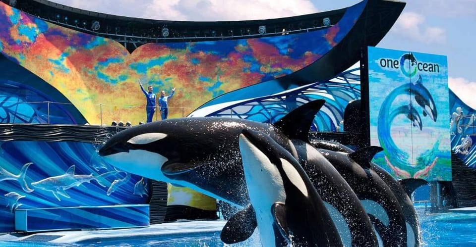 Aqua park, Evening entertainment