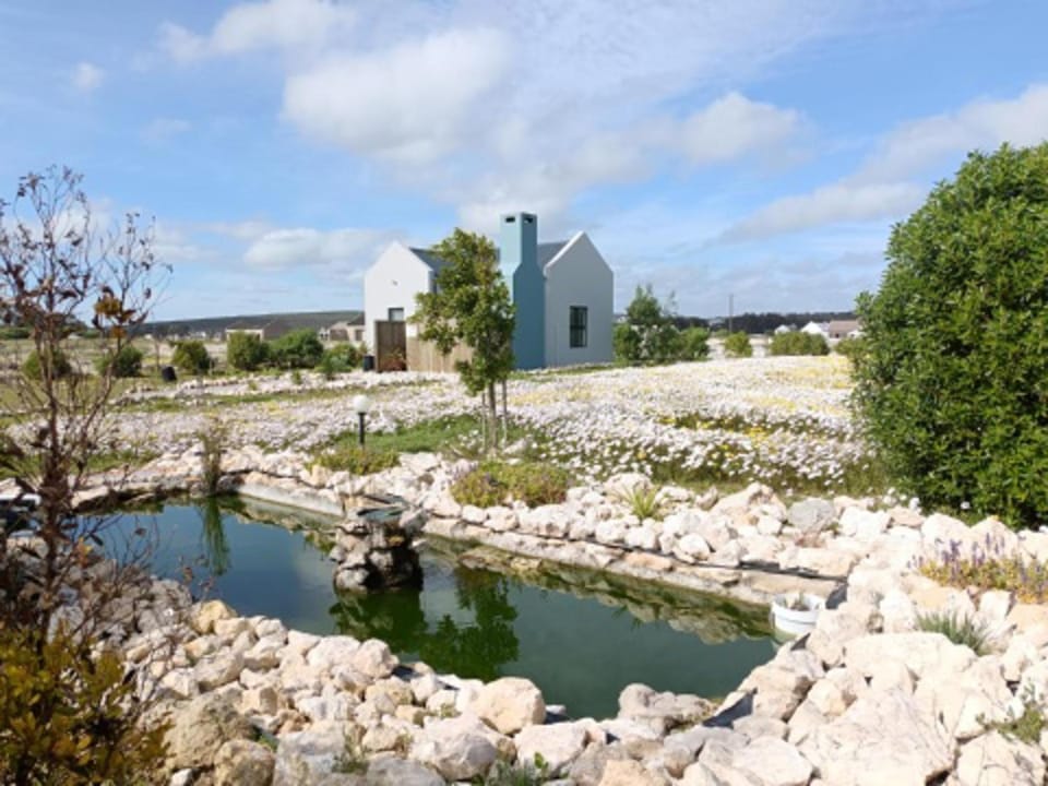 Natural landscape