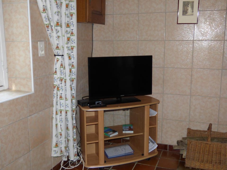 TV and multimedia