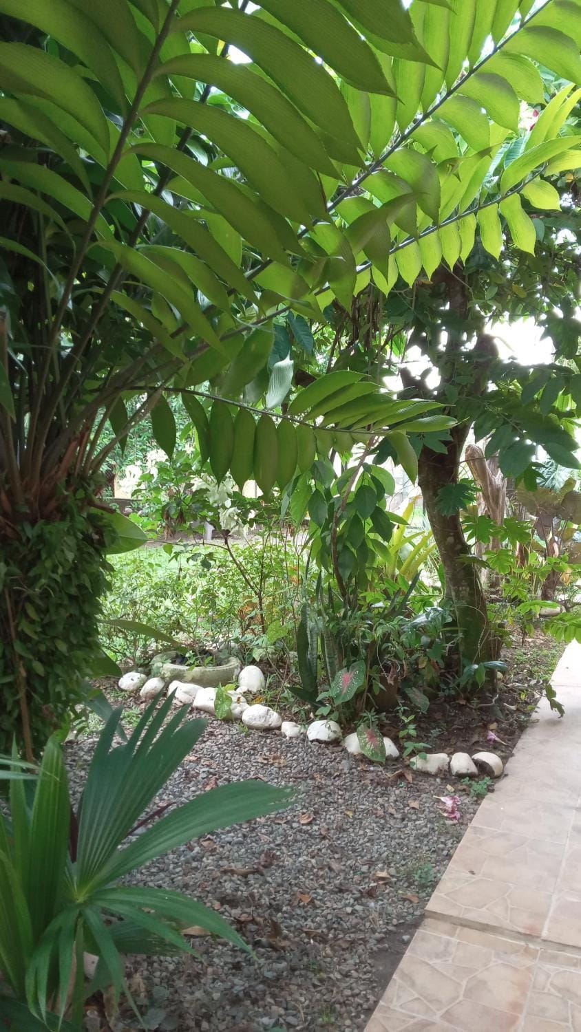 Apartamento Cris Apartment in Puerto Viejo Talamanca