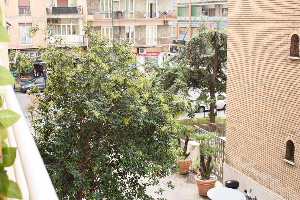 Property building, Neighbourhood, Garden