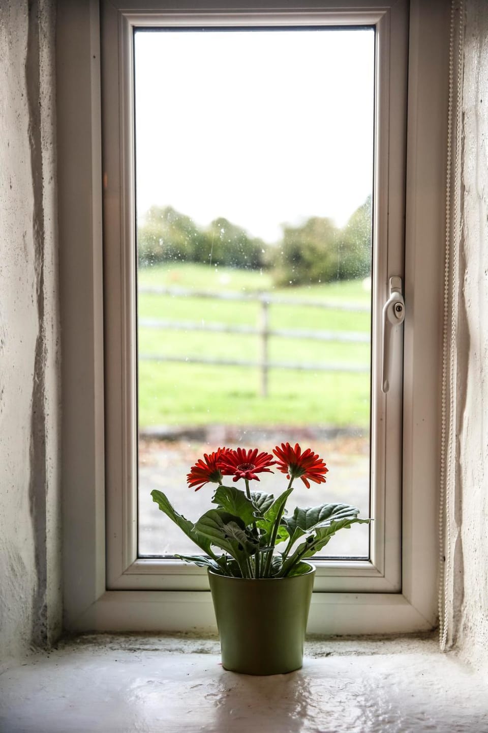 Innish Beg Cottages House in Leitrim, Co. Leitrim, Ireland