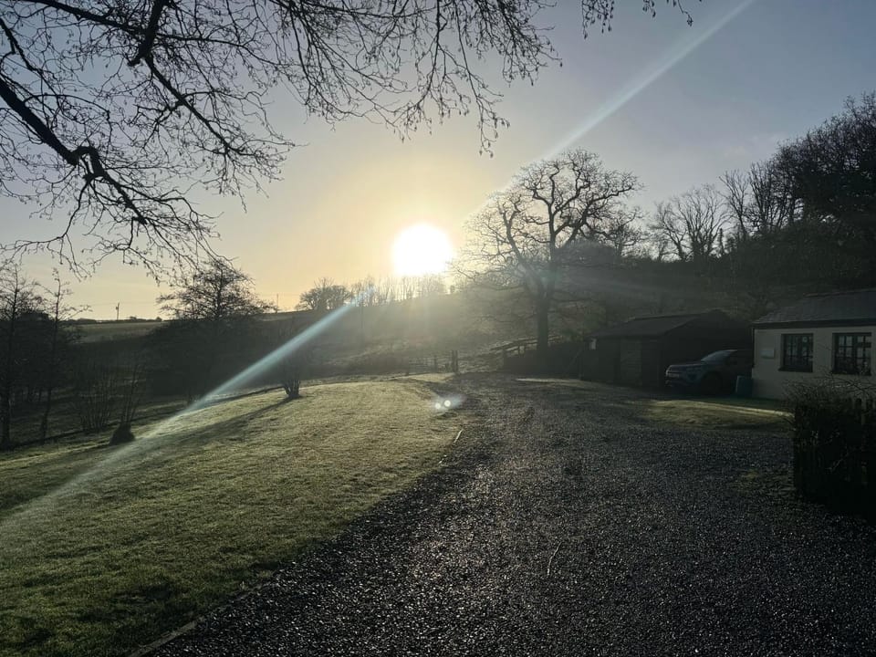 Garden view, Sunrise