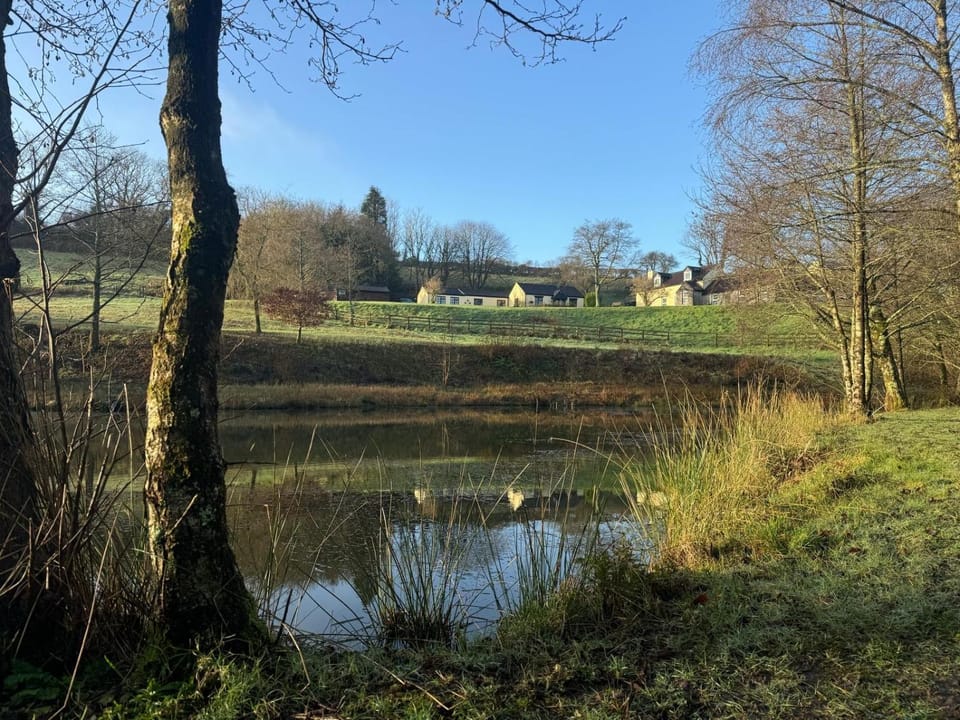 Natural landscape, Lake view