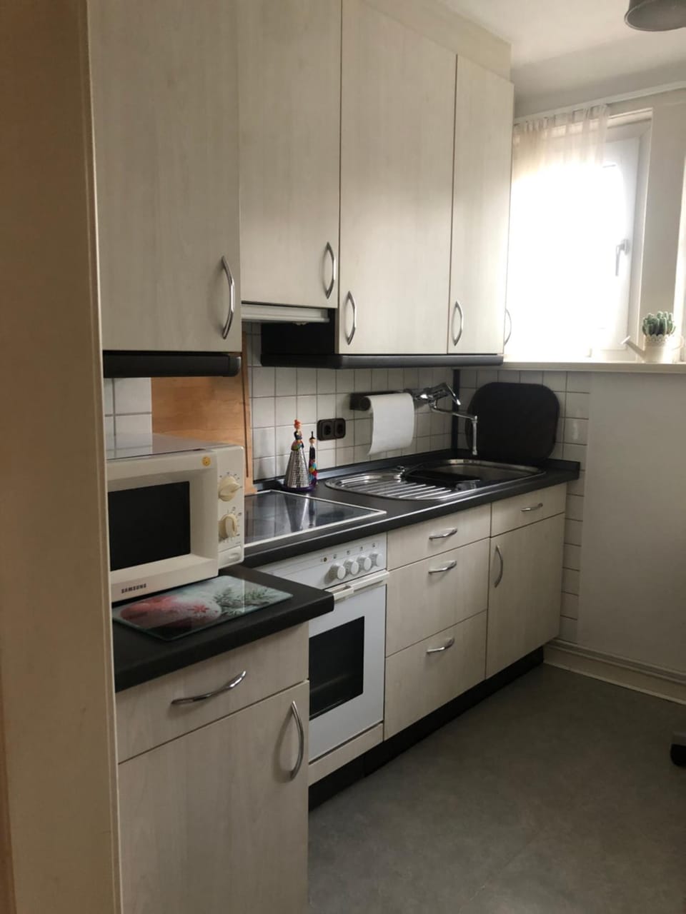 Kitchen or kitchenette, minibar, pet friendly, stove