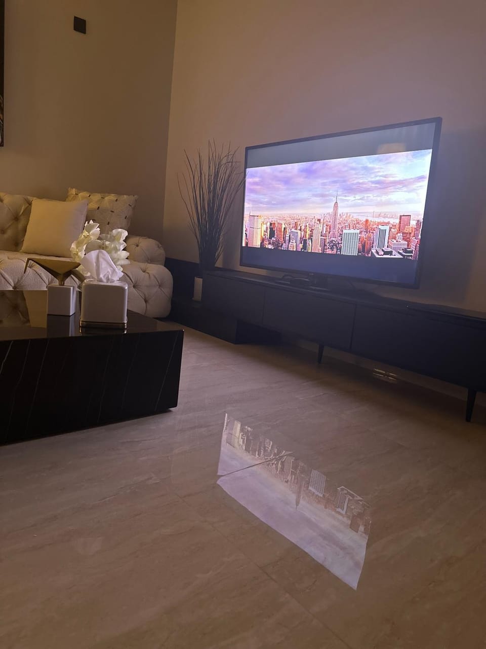 TV and multimedia