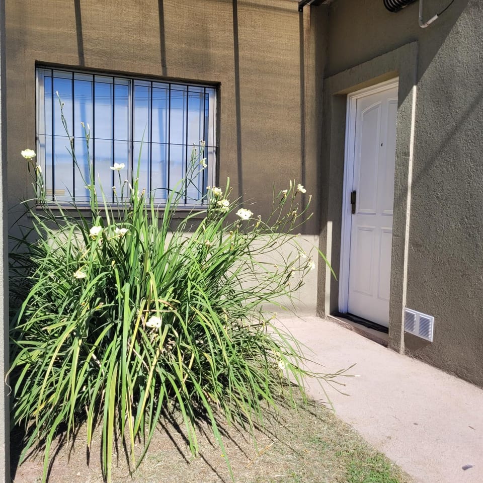 Facade/entrance, Garden
