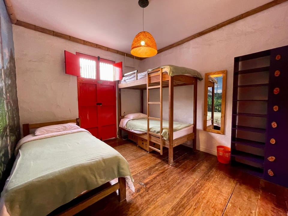 Bed, Photo of the whole room, bunk bed