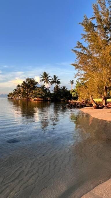 Natural landscape, Beach