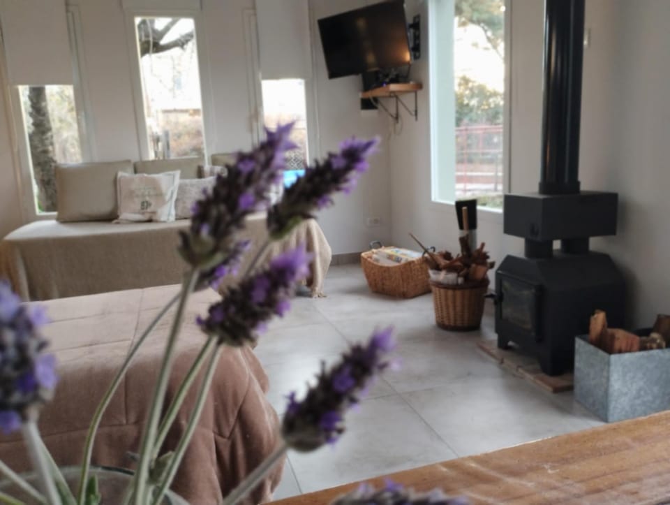 Los Tilos House in Tandil