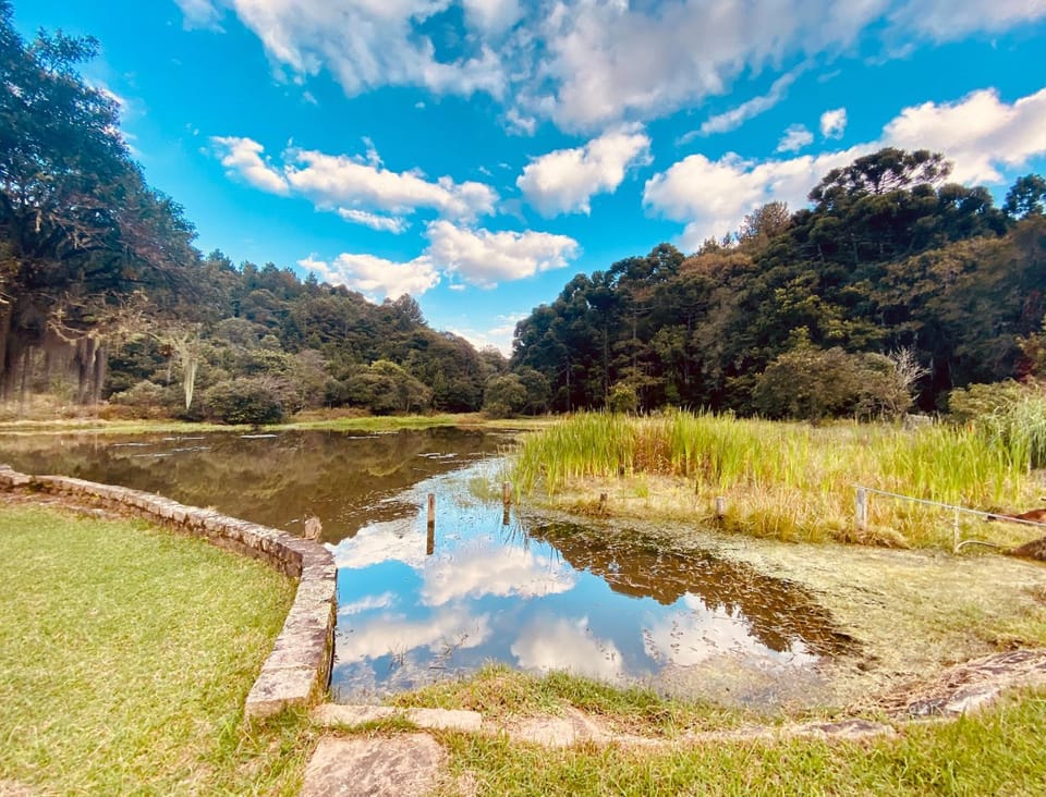 Natural landscape, Hiking, Lake view