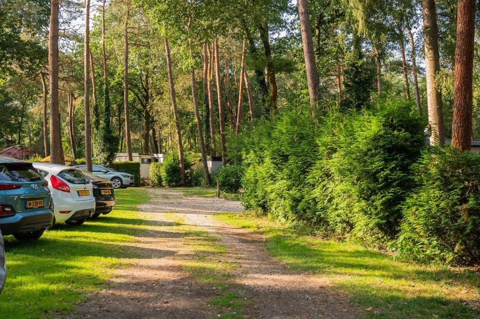 Day, Parking