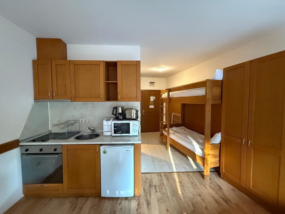 Studio Royal Plaza sleeps 4 Prime location, distance to ski lift - 50M Apartment in North Macedonia